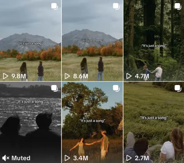 TikTok proof collage 1