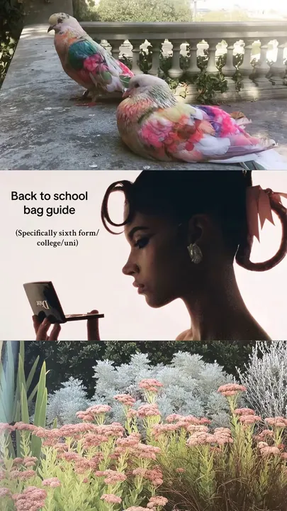 TikTok slideshow cover: Back to school bag guide