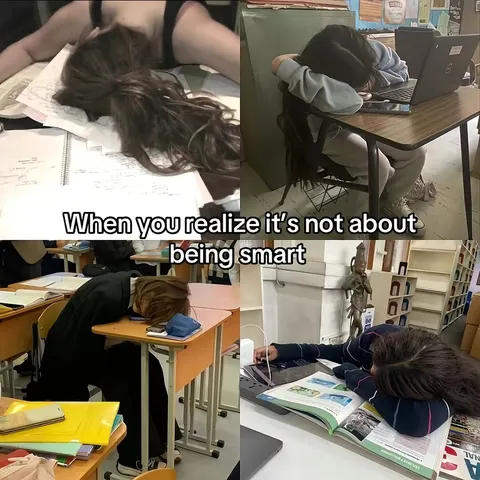 TikTok slideshow cover: The Reality of Studying