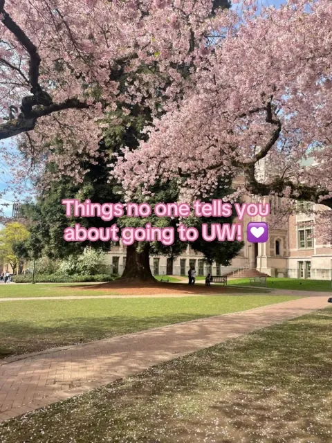 TikTok slideshow cover: Things no one tells you about going to UW!