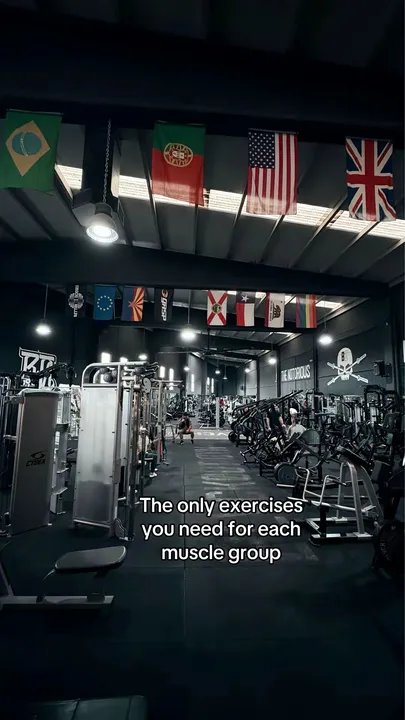 TikTok slideshow cover: Essential Exercises for Muscle Groups