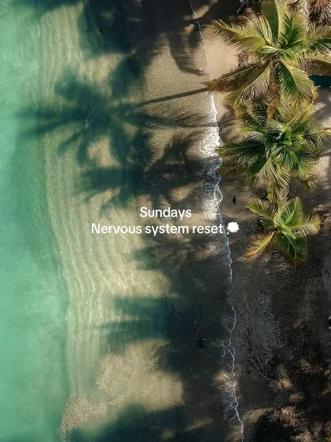 TikTok slideshow cover: Sundays Nervous system reset