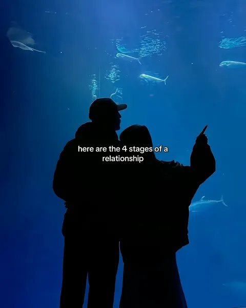 TikTok slideshow cover: here are the 4 stages of a relationship