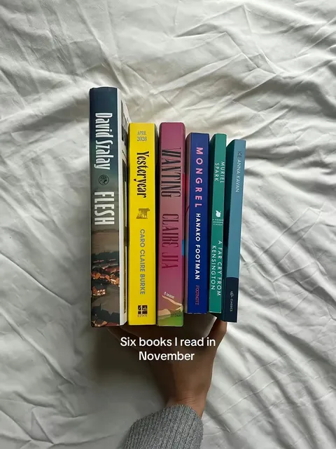 TikTok slideshow cover: Six books I read in November
