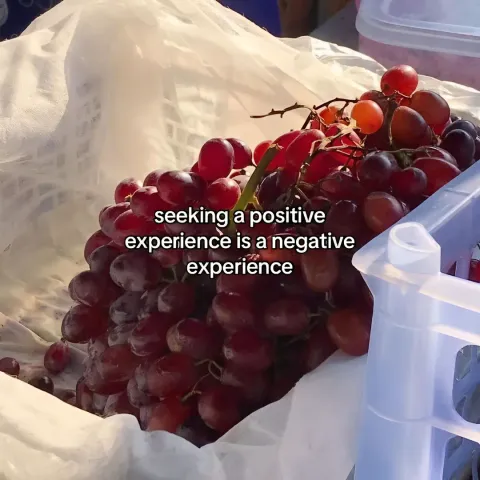 TikTok slideshow cover: Seeking a positive experience