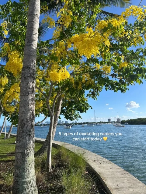 Original slideshow: 5 types of marketing careers you can start today