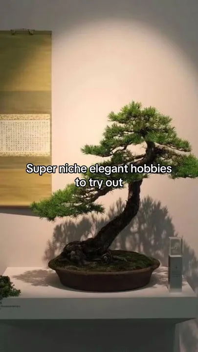 TikTok slideshow cover: Elegant Hobbies