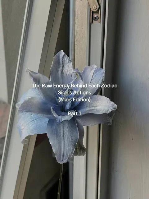 TikTok slideshow cover: The Raw Energy Behind Each Zodiac Sign's Actions (Mars Edition) Part 1