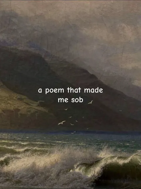 TikTok slideshow cover: A poem that made me sob