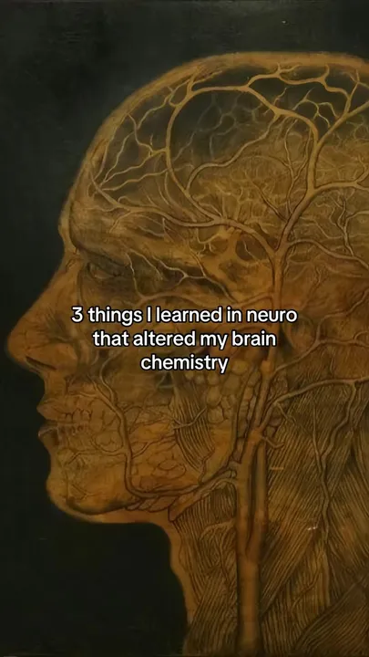 TikTok slideshow cover: 3 things I learned in neuro that altered my brain chemistry