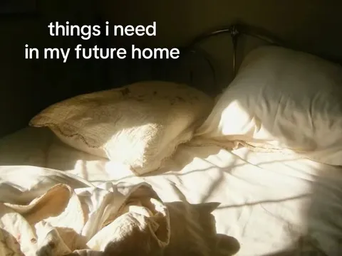 TikTok slideshow cover: Things needed in a future home