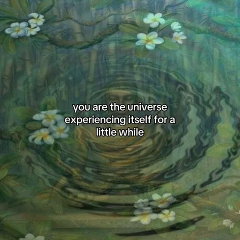TikTok slideshow cover: The Universe Experiencing Itself