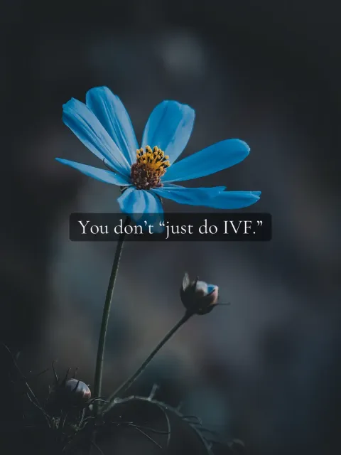 TikTok slideshow cover: You don't 'just do IVF.'
