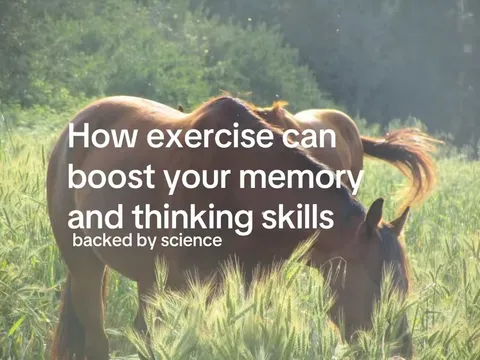 TikTok slideshow cover: How exercise can boost your memory and thinking skills