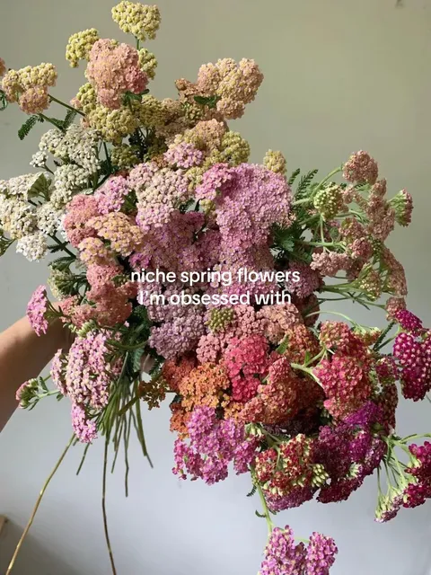 TikTok slideshow cover: niche spring flowers I'm obsessed with