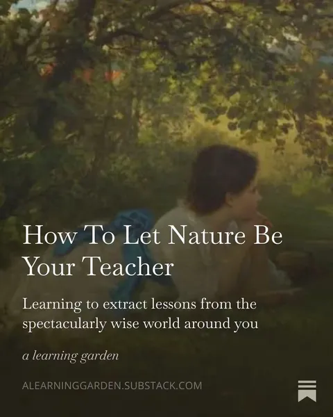 TikTok slideshow cover: How To Let Nature Be Your Teacher