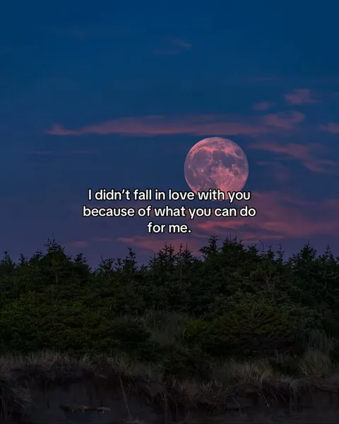 TikTok slideshow cover: I didn't fall in love with you because of what you can do for me.