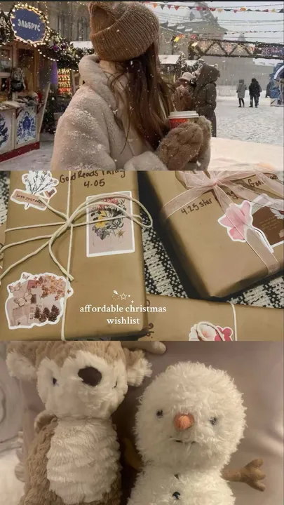 TikTok slideshow cover: Affordable Christmas Wishlist