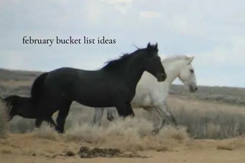 TikTok slideshow cover: february bucket list ideas