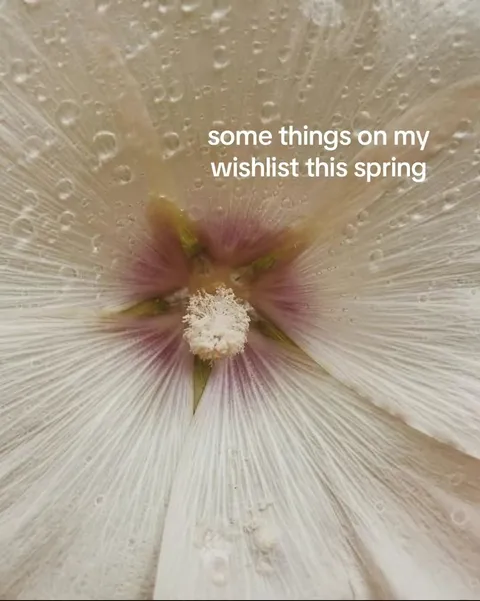 TikTok slideshow cover: some things on my wishlist this spring