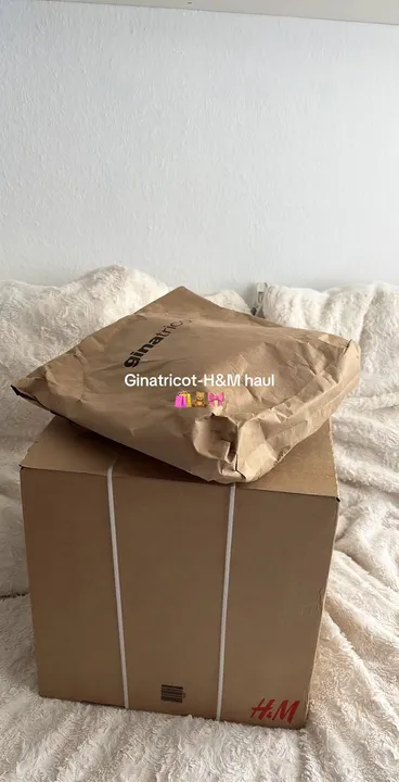 TikTok slideshow cover: Ginaticot-H&M Haul
